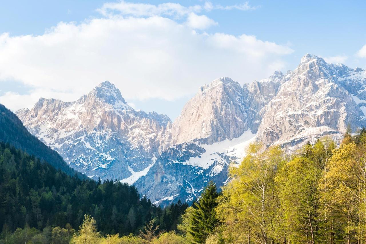 Villa Planina Kranjska Gora Exterior foto