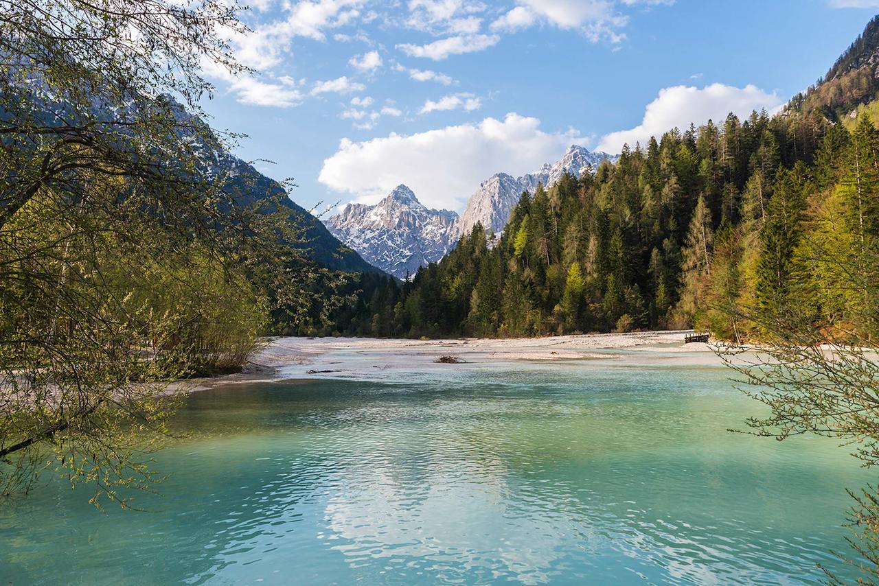 Villa Planina Kranjska Gora Exterior foto